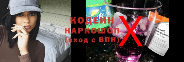 сатива Арсеньев