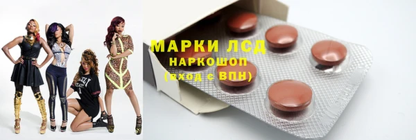 гашик Аркадак