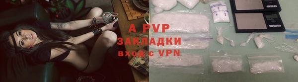 гашик Аркадак