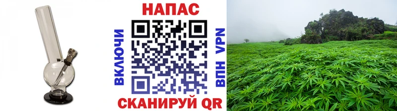 mega как войти  Ахтубинск  Конопля THC 21%  как найти закладки 